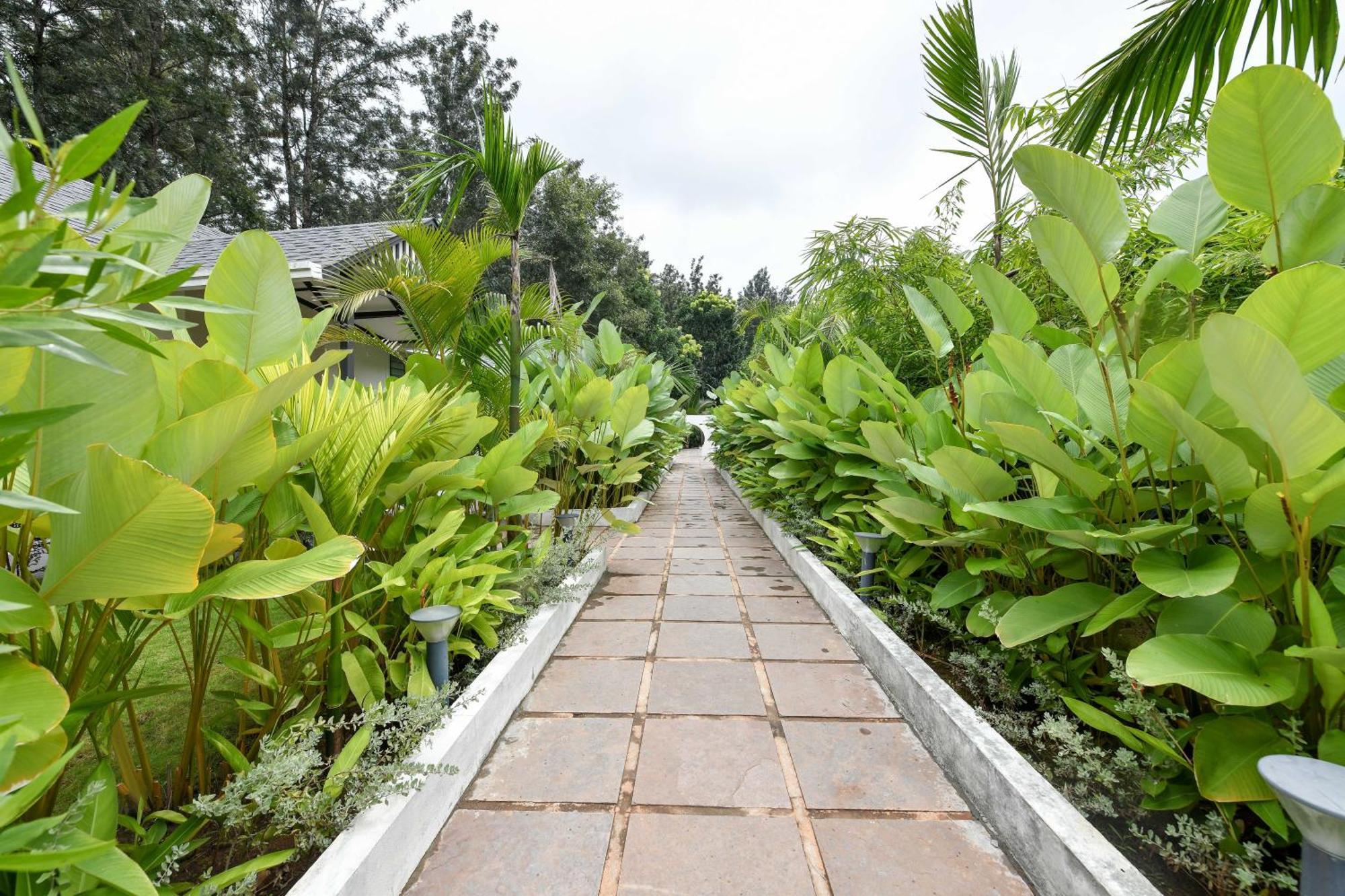 Inventree Aranya Resort & Spa Madikeri Kültér fotó